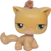 #0078 Sitting Cat